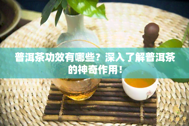 普洱茶功效有哪些？深入了解普洱茶的神奇作用！