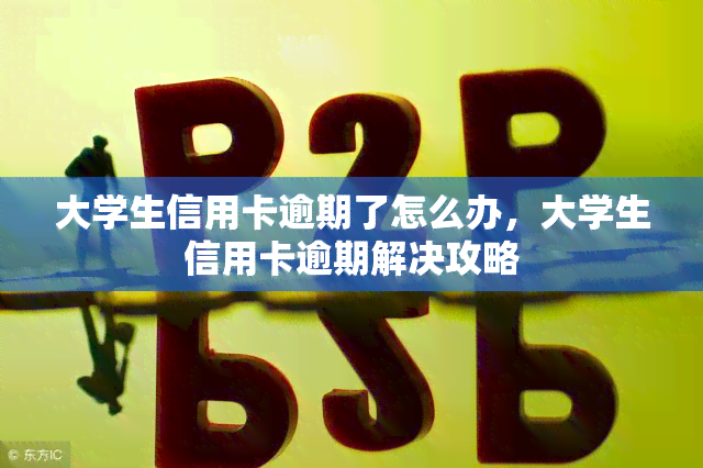 大学生信用卡逾期了怎么办，大学生信用卡逾期解决攻略