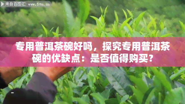 专用普洱茶碗好吗，探究专用普洱茶碗的优缺点：是否值得购买？