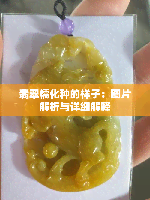 翡翠糯化种的样子：图片解析与详细解释