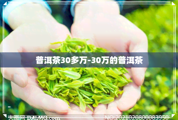 普洱茶30多万-30万的普洱茶