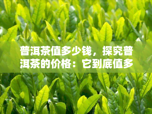 普洱茶值多少钱，探究普洱茶的价格：它到底值多少钱？