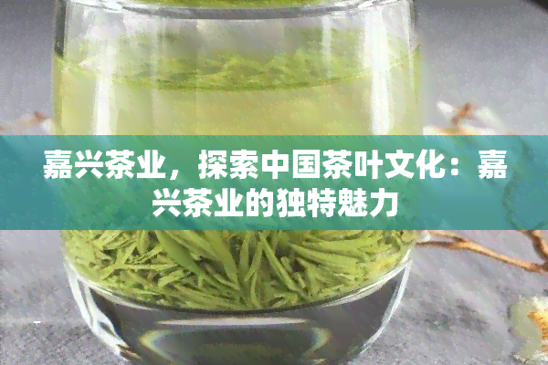 嘉兴茶业，探索中国茶叶文化：嘉兴茶业的独特魅力