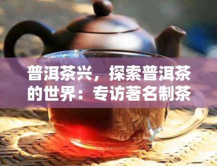 普洱茶兴，探索普洱茶的世界：专访著名制茶人兴