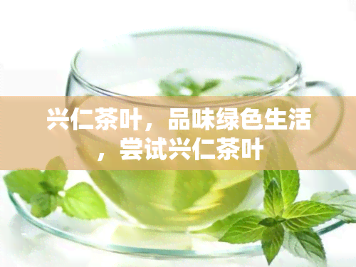 兴仁茶叶，品味绿色生活，尝试兴仁茶叶