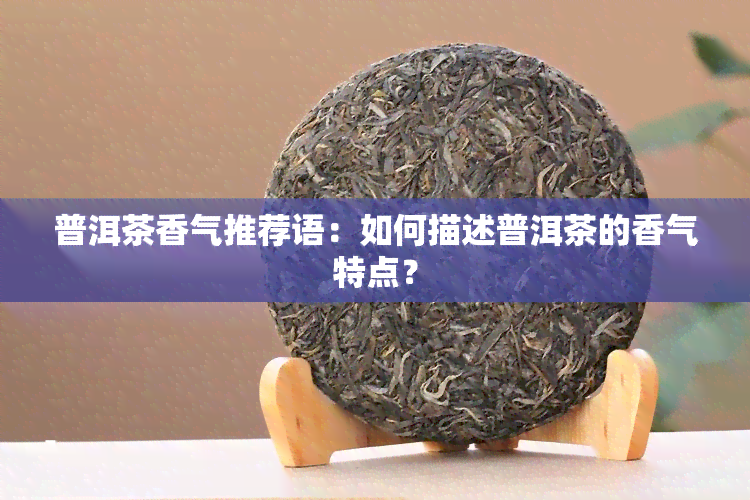 普洱茶香气推荐语：如何描述普洱茶的香气特点？