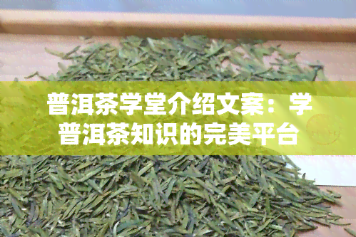 普洱茶学堂介绍文案：学普洱茶知识的完美平台