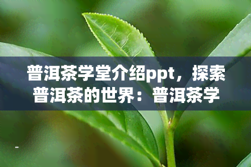 普洱茶学堂介绍ppt，探索普洱茶的世界：普洱茶学堂的详细介绍PPT