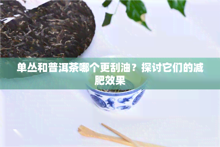 单丛和普洱茶哪个更刮油？探讨它们的减肥效果