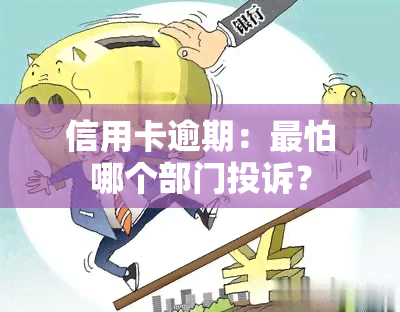 信用卡逾期：最怕哪个部门投诉？