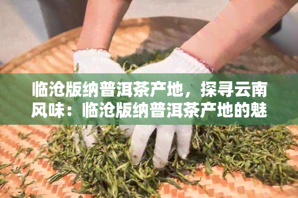 临沧版纳普洱茶产地，探寻云南风味：临沧版纳普洱茶产地的魅力