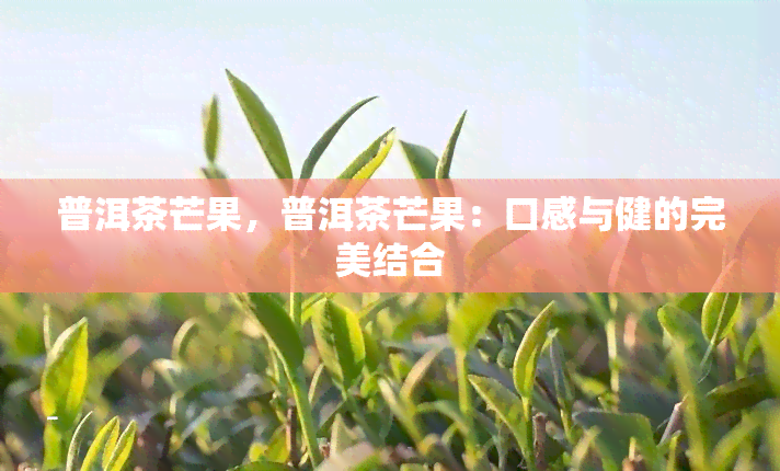 普洱茶芒果，普洱茶芒果：口感与健的完美结合