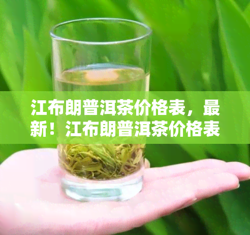 江布朗普洱茶价格表，最新！江布朗普洱茶价格表出炉，让您一目了然！