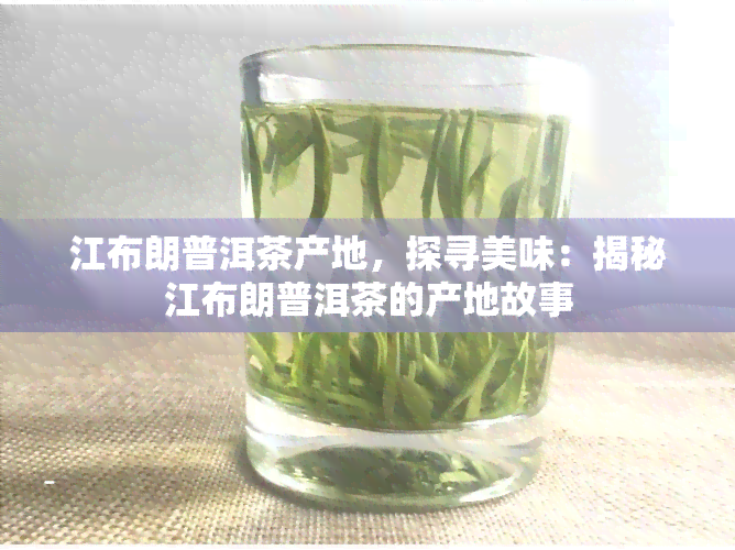 江布朗普洱茶产地，探寻美味：揭秘江布朗普洱茶的产地故事