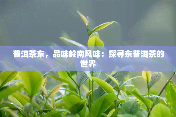 普洱茶东，品味岭南风味：探寻东普洱茶的世界