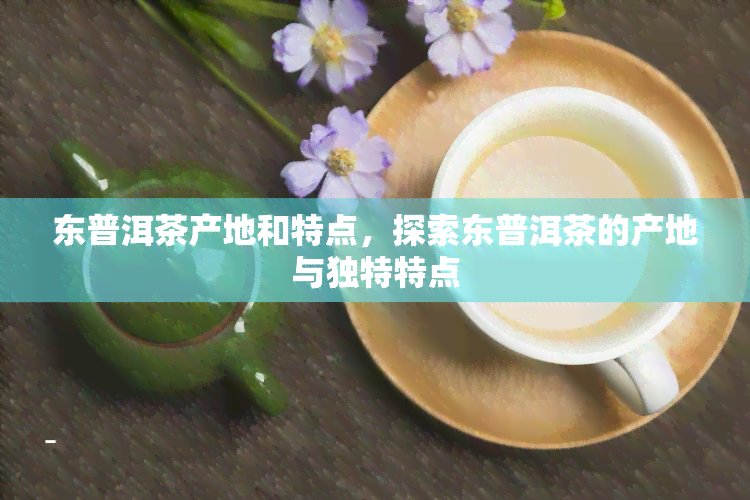 东普洱茶产地和特点，探索东普洱茶的产地与独特特点