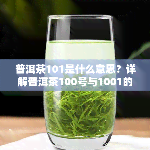 普洱茶101是什么意思？详解普洱茶100号与1001的区别