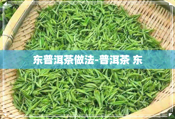 东普洱茶做法-普洱茶 东