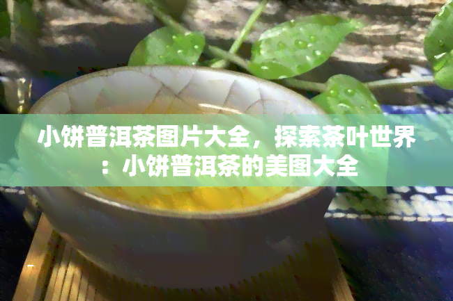 小饼普洱茶图片大全，探索茶叶世界：小饼普洱茶的美图大全