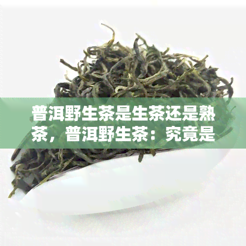 普洱野生茶是生茶还是熟茶，普洱野生茶：究竟是生茶还是熟茶？