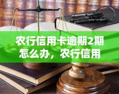 农行信用卡逾期2期怎么办，农行信用卡逾期两期处理方法解析