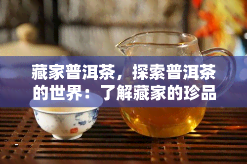 藏家普洱茶，探索普洱茶的世界：了解藏家的珍品收藏