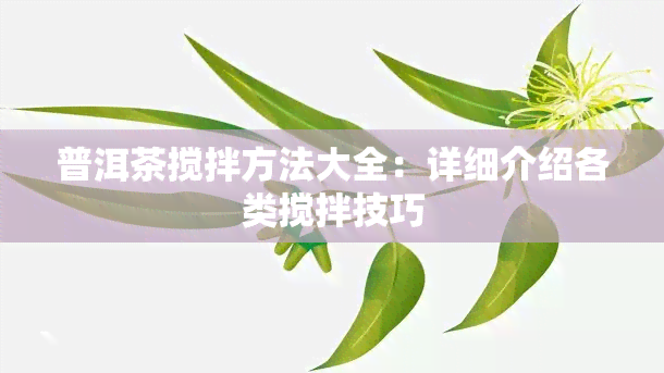 普洱茶搅拌方法大全：详细介绍各类搅拌技巧