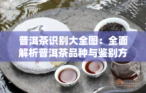 普洱茶识别大全图：全面解析普洱茶品种与鉴别方法