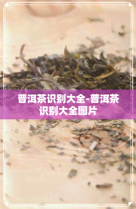 普洱茶识别大全-普洱茶识别大全图片