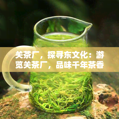 关茶厂，探寻东文化：游览关茶厂，品味千年茶香