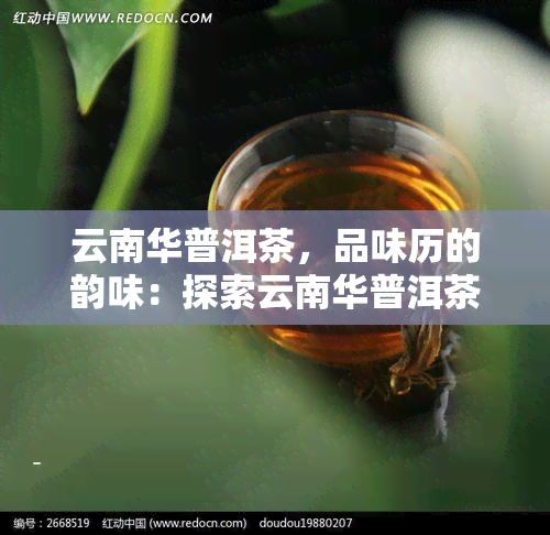 云南华普洱茶，品味历的韵味：探索云南华普洱茶的世界