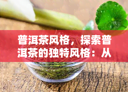 普洱茶风格，探索普洱茶的独特风格：从陈年老茶到新生茶的韵味解析