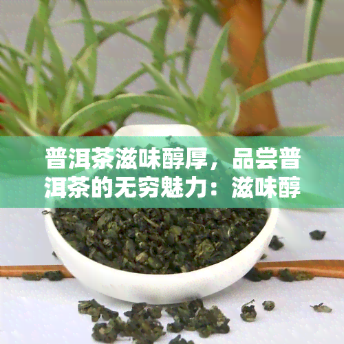 普洱茶滋味醇厚，品尝普洱茶的无穷魅力：滋味醇厚的享受