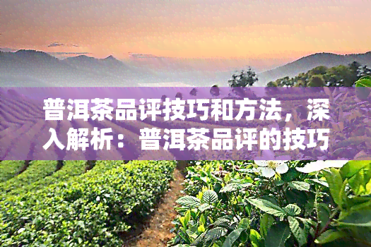 普洱茶品评技巧和方法，深入解析：普洱茶品评的技巧与方法