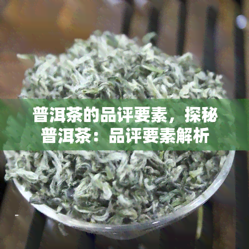 普洱茶的品评要素，探秘普洱茶：品评要素解析