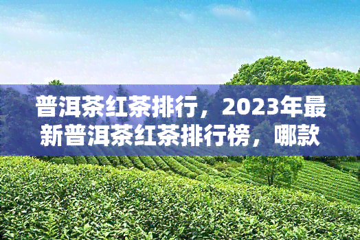 普洱茶红茶排行，2023年最新普洱茶红茶排行榜，哪款才是你的更爱？