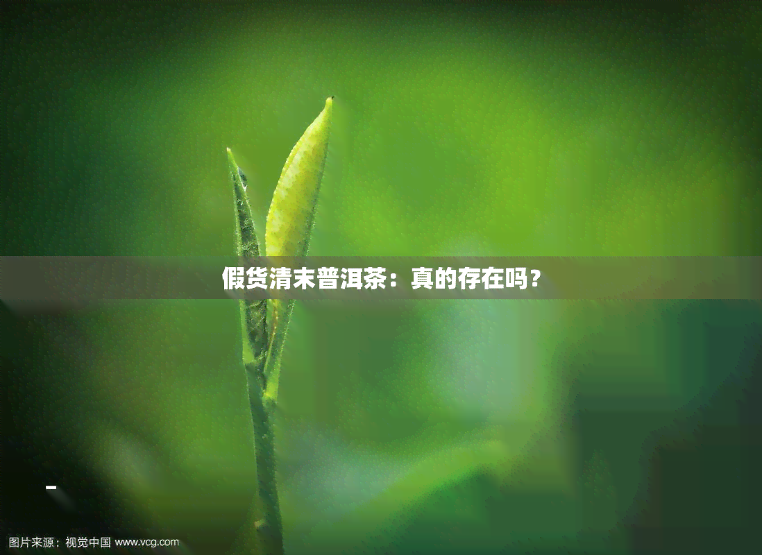 假货清末普洱茶：真的存在吗？