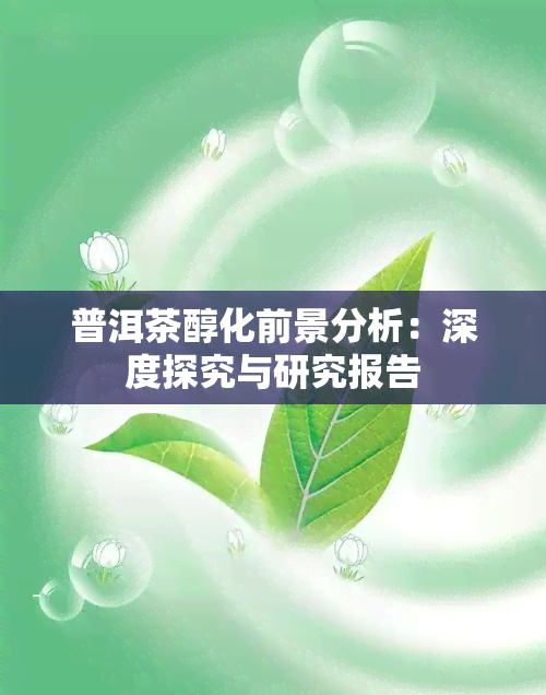 普洱茶醇化前景分析：深度探究与研究报告