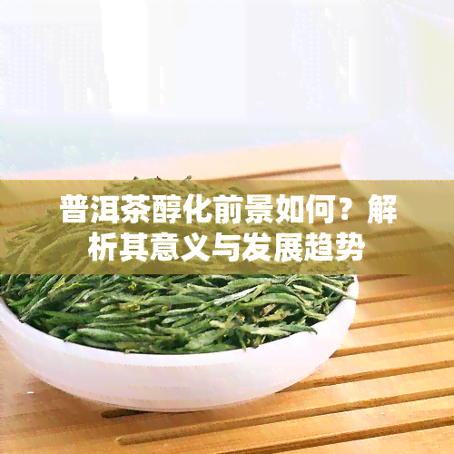 普洱茶醇化前景如何？解析其意义与发展趋势