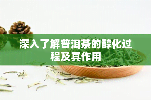 深入了解普洱茶的醇化过程及其作用