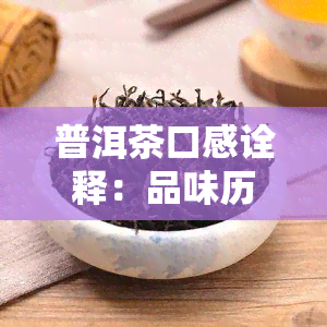 普洱茶口感诠释：品味历与文化的精神象征