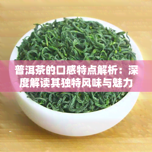 普洱茶的口感特点解析：深度解读其独特风味与魅力