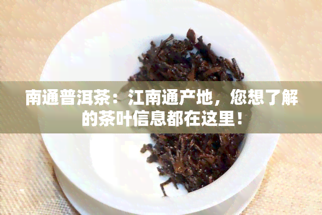 南通普洱茶：江南通产地，您想了解的茶叶信息都在这里！