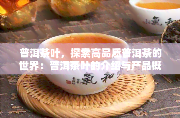 普洱茶叶，探索高品质普洱茶的世界：普洱茶叶的介绍与产品概览