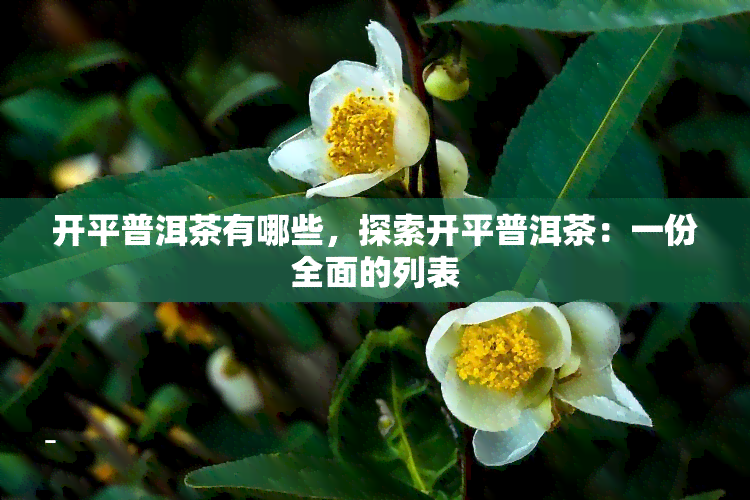 开平普洱茶有哪些，探索开平普洱茶：一份全面的列表