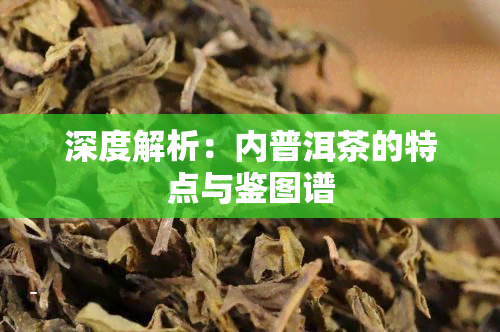 深度解析：内普洱茶的特点与鉴图谱