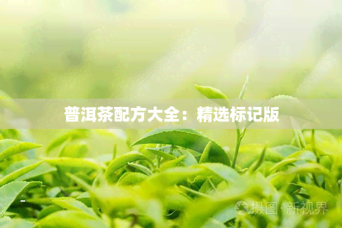 普洱茶配方大全：精选标记版