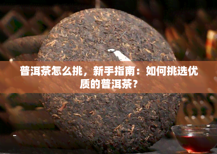 普洱茶怎么挑，新手指南：如何挑选优质的普洱茶？