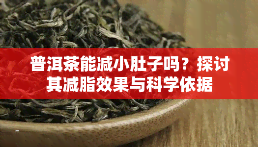 普洱茶能减小肚子吗？探讨其减脂效果与科学依据