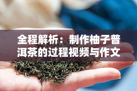 全程解析：制作柚子普洱茶的过程视频与作文